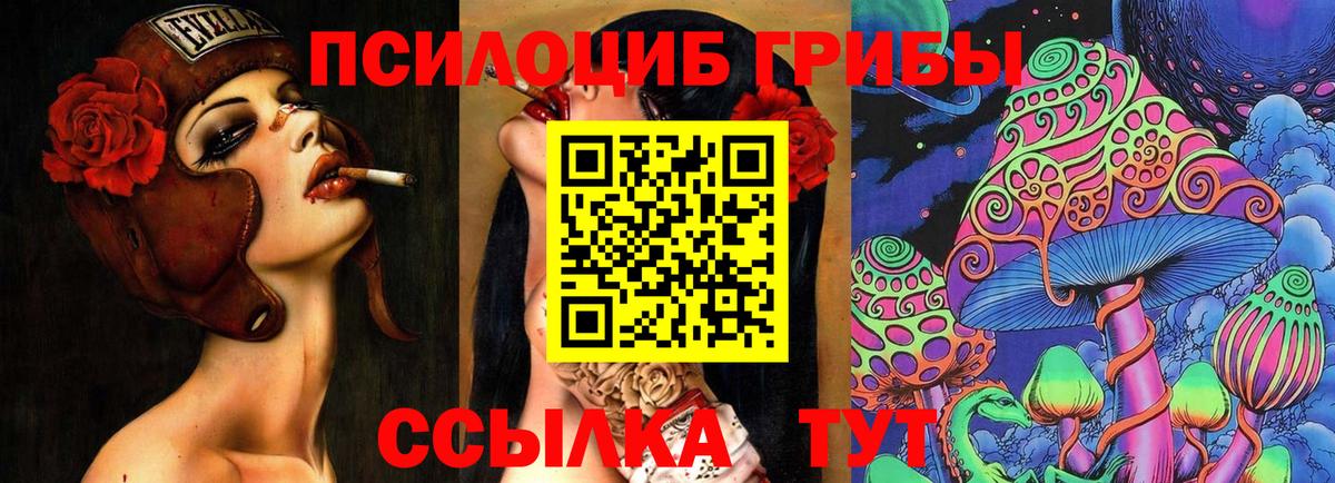 Псилоцибиновые грибы MAGIC MUSHROOMS Сафоново